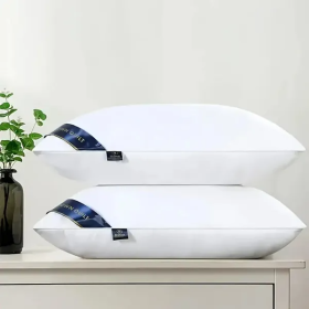 Bed Pillows Blue 2pack